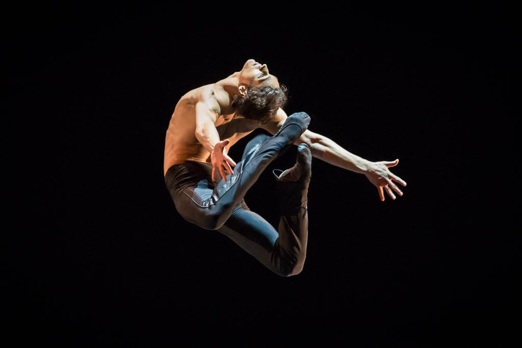 Daniel Camargo
